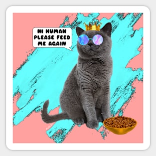 CAT HI HUMAN FEED ME Sticker